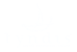 Tyndis